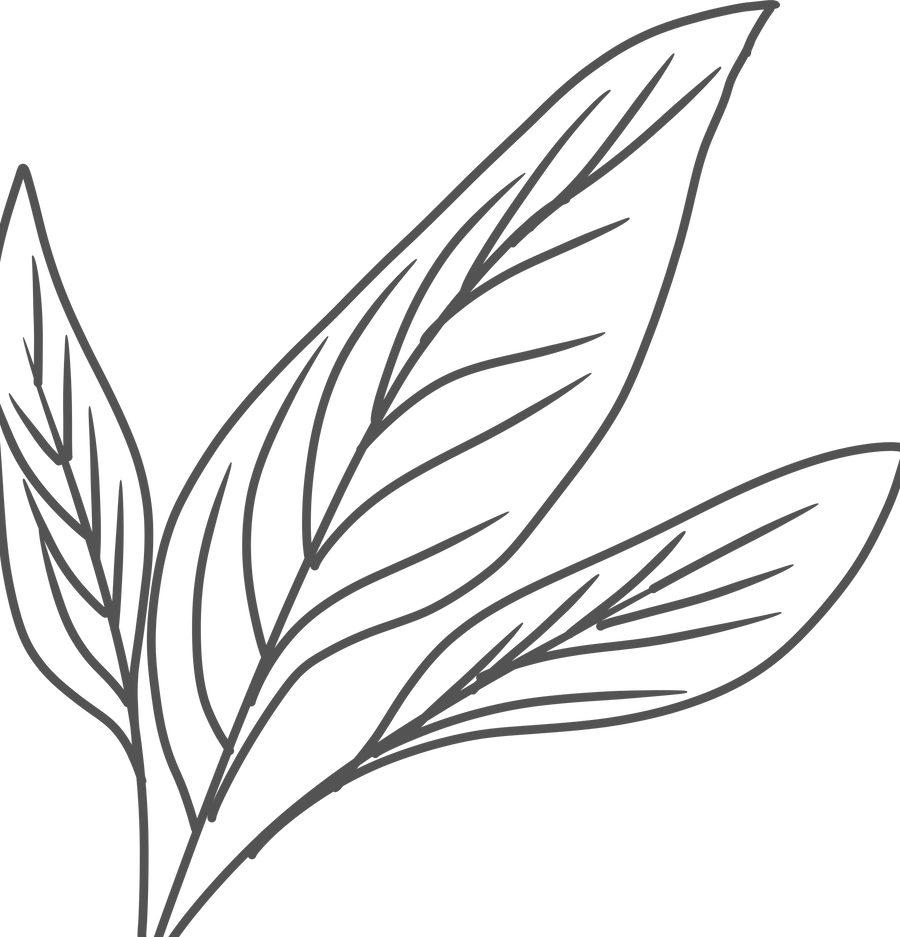 Leaves rustic aesthetic