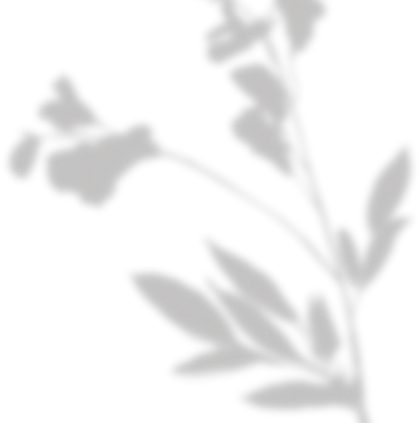 Simple Floral Shadow Thin